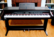 Williams_piano_180.jpg